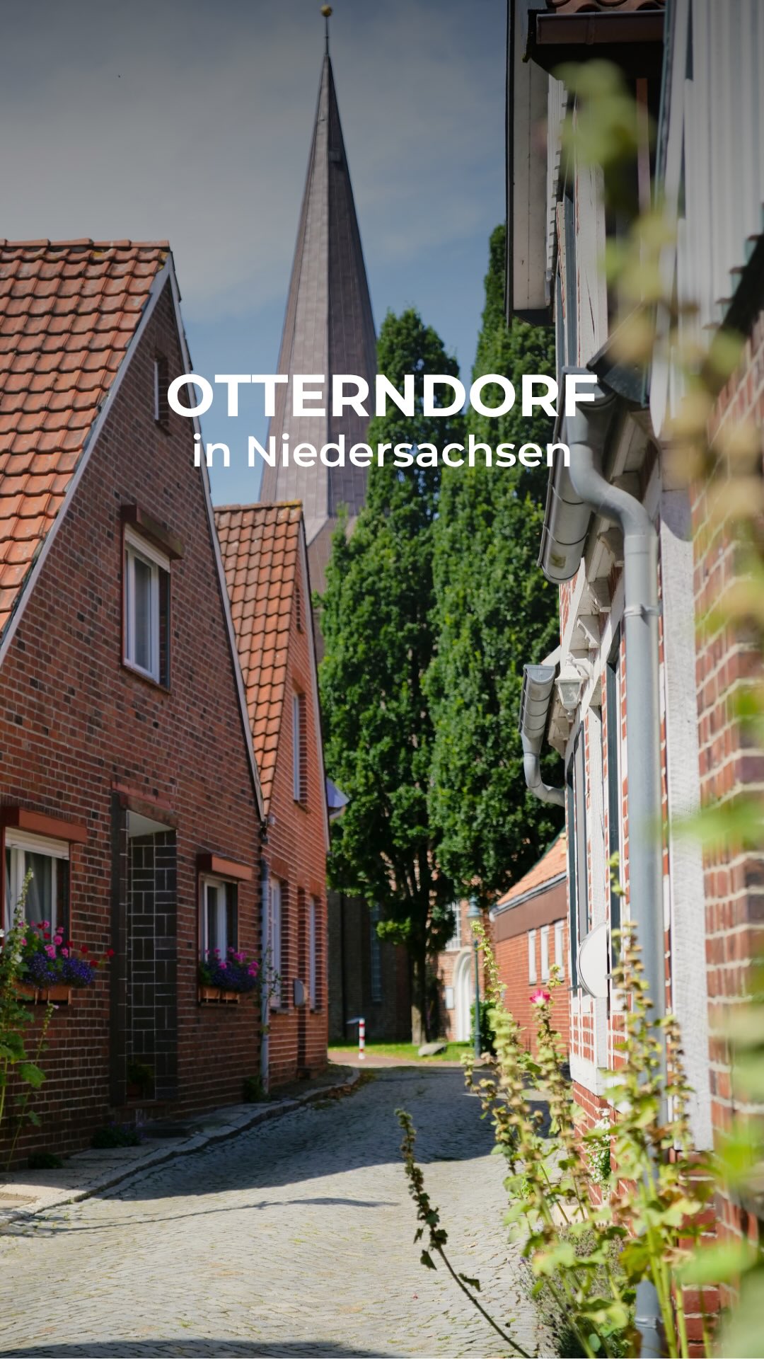 Kleine Nordzeit, Altstadt-Buchhandlung Inh. Susann Rennebeck