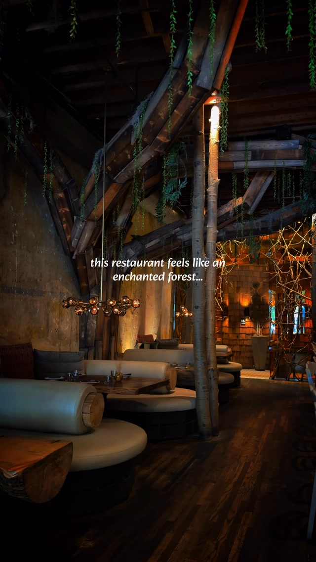 Diana | Luxury & Adventure Travel, La Forêt