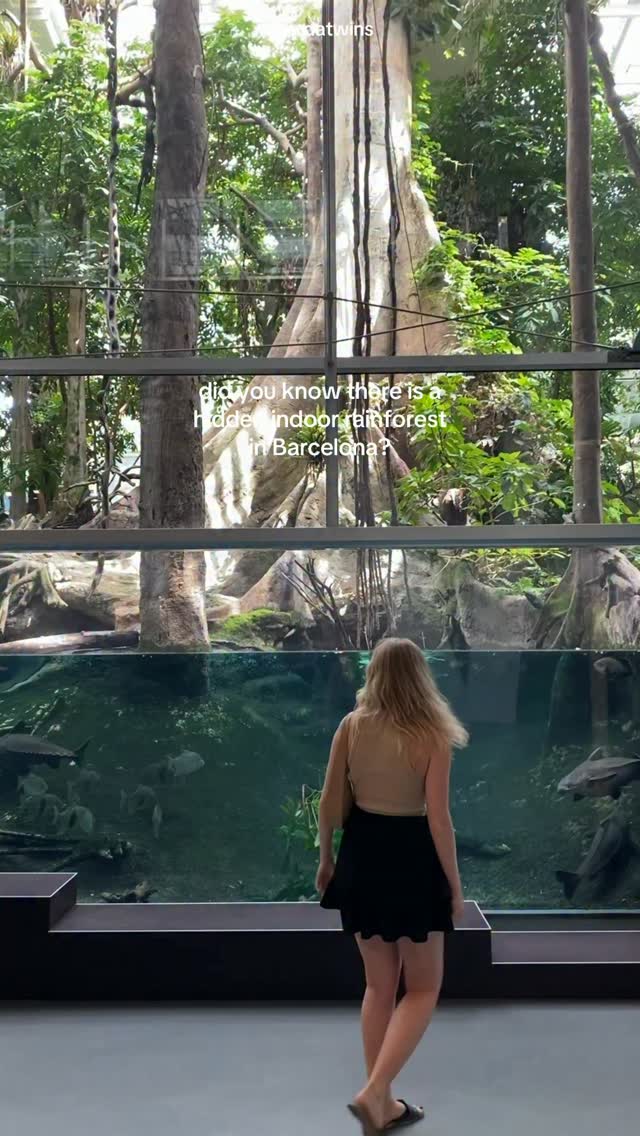 Barcelona Science Museum's Indoor Rainforest