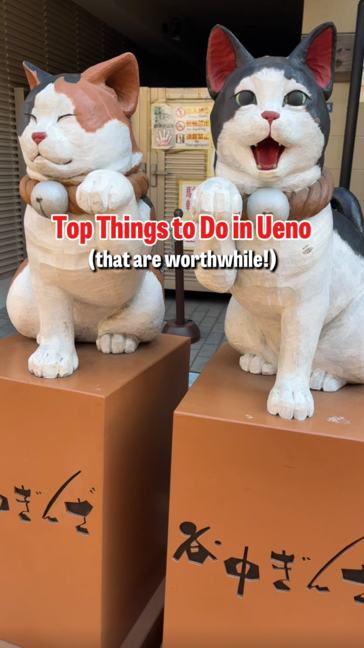 Ueno, Tokyo: Shopping, Crafts, and Cultural Exploration