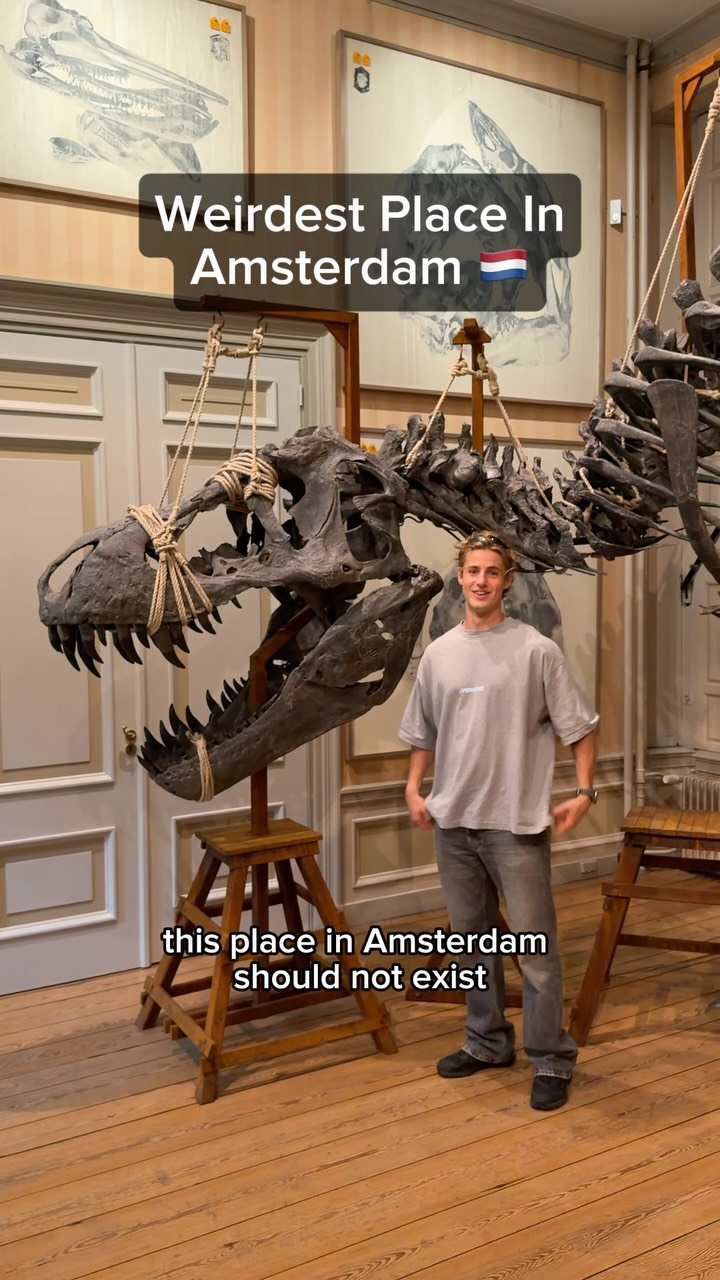 Art Zoo Museum's Unique Taxidermy Collection