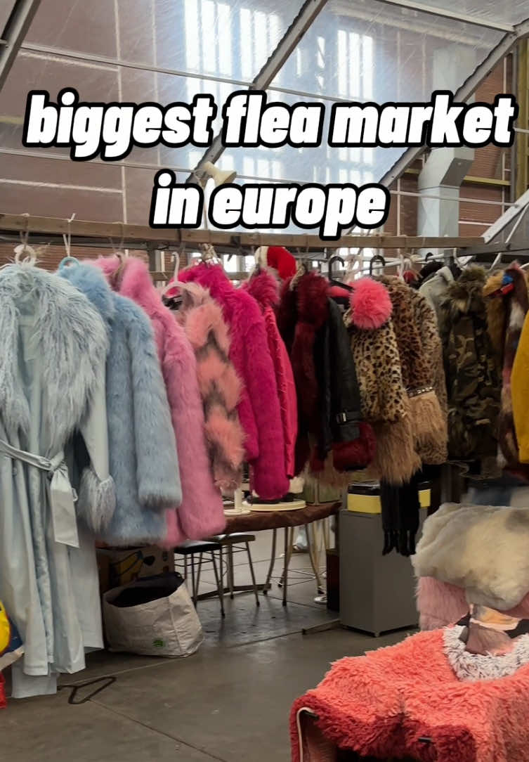 Europe's Largest Flea Market Experience