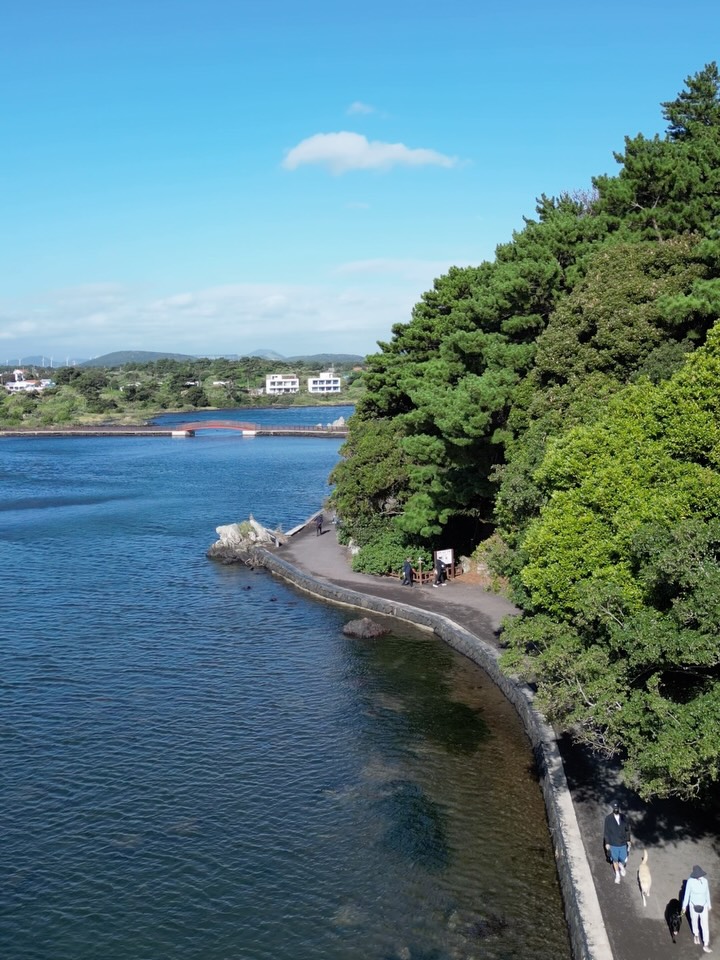 Jeju Island's Natural Beauty: A Coastal Walk