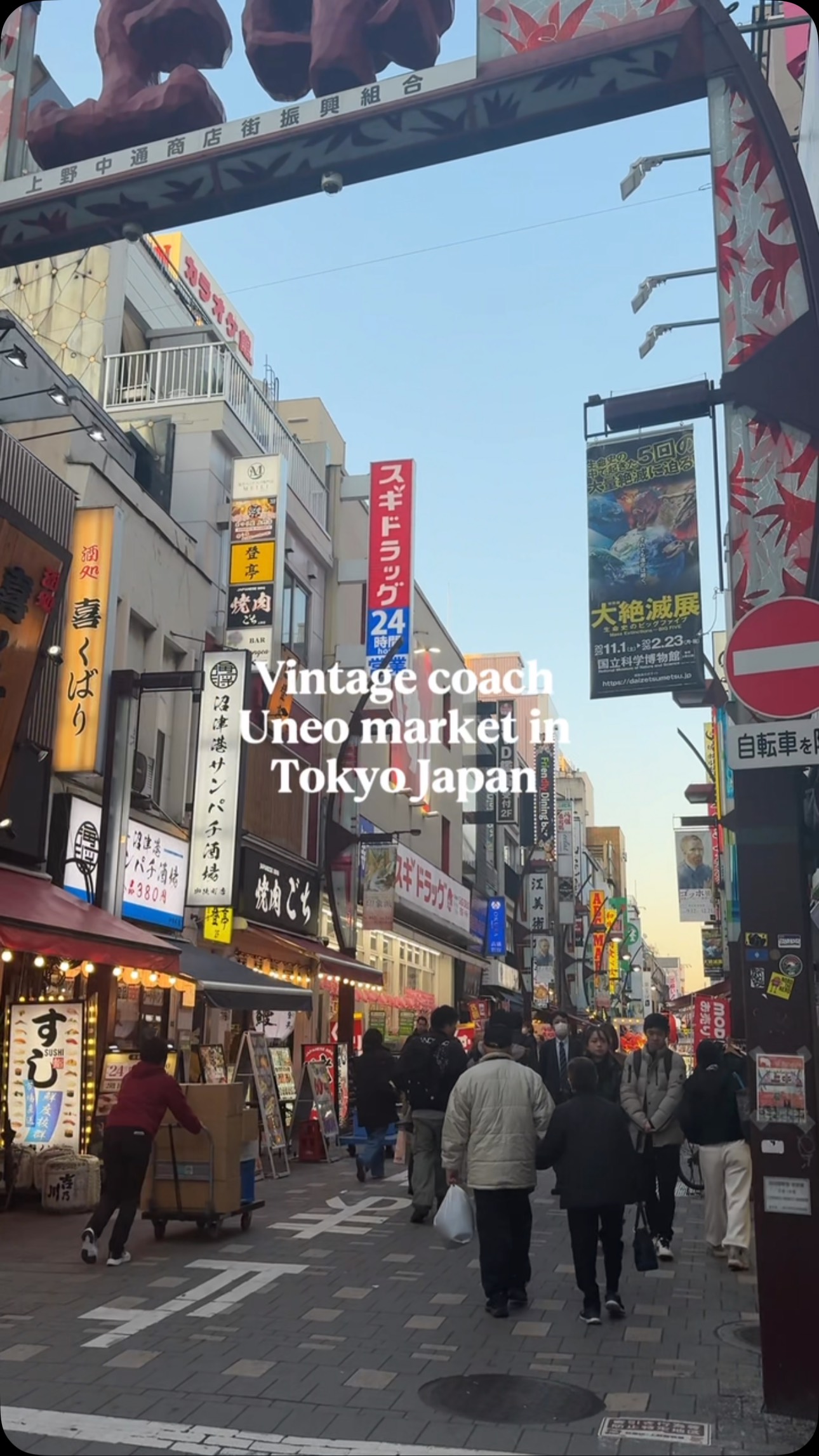 Ueno Park, Shopping, and Outlet Destinations