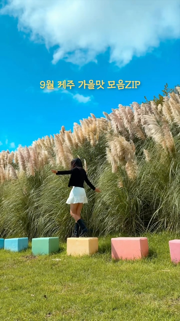 Jeju's September Flower Spots for Autumn Vibes