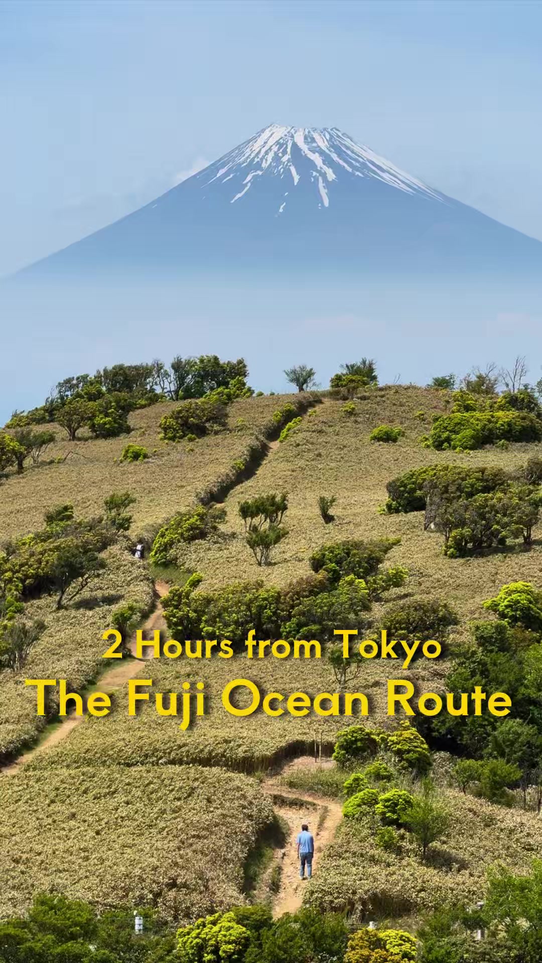 Izu Experience Japan, Mount Fuji