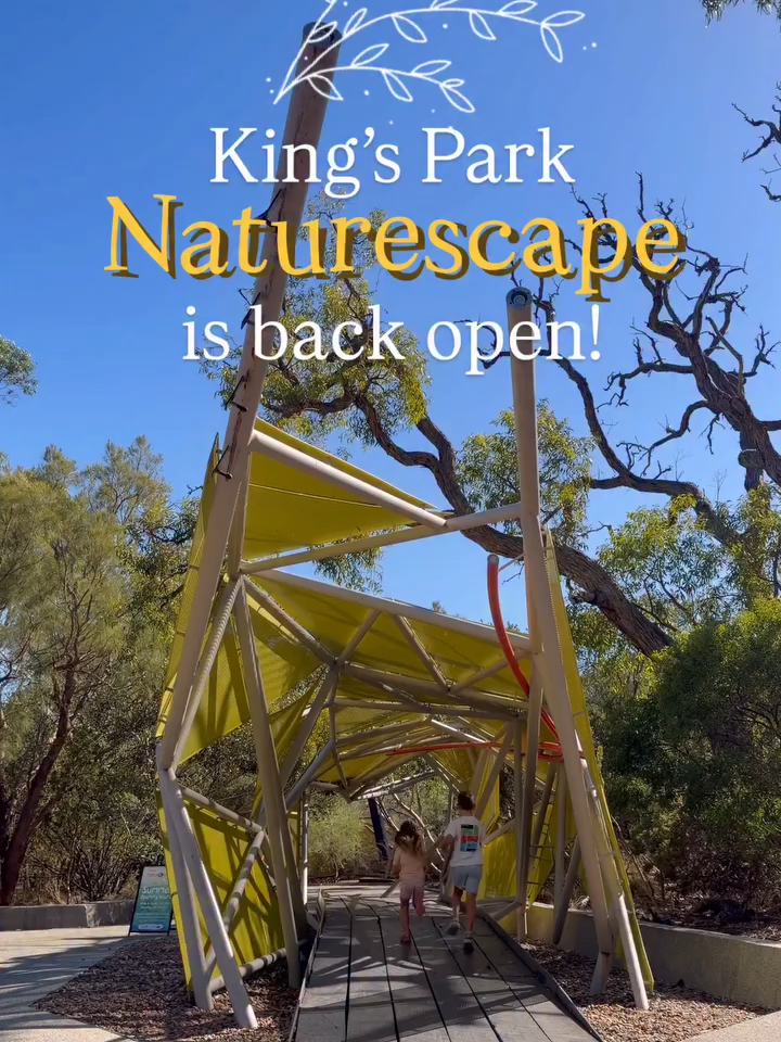 Kings Park Offers Nature Play For Kids
