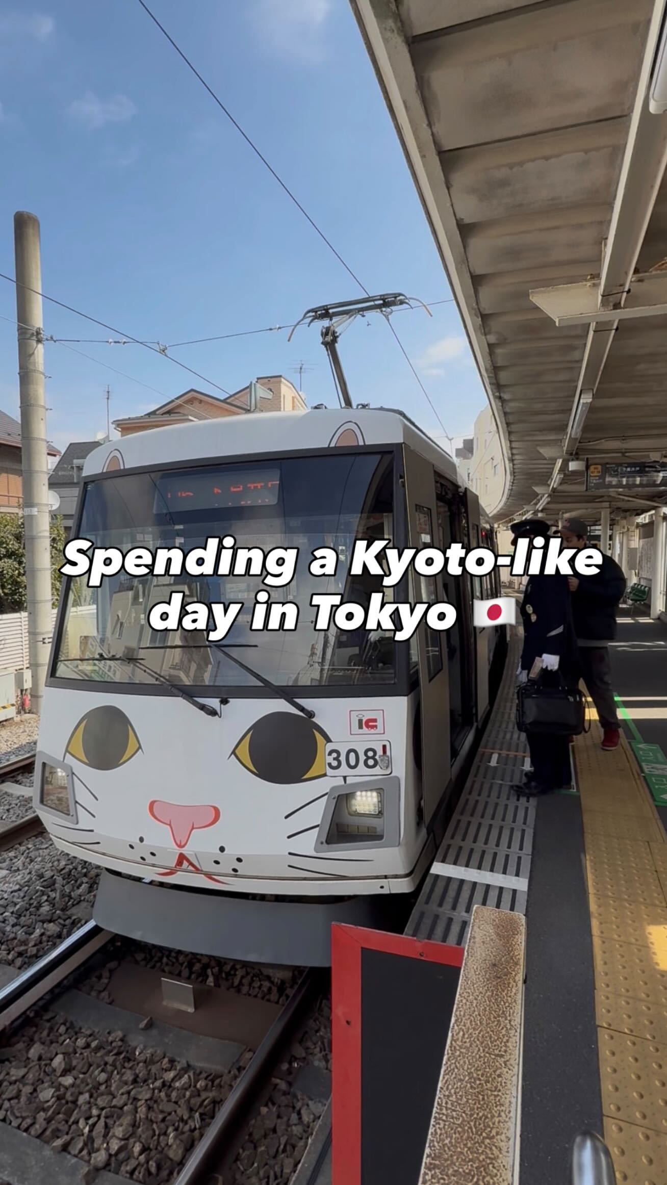 Tokyo's Cat Shrine and Train for Families
