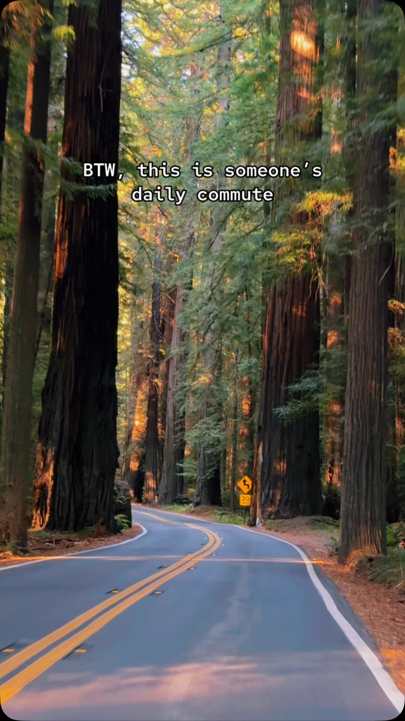 California's Majestic Redwood State Parks