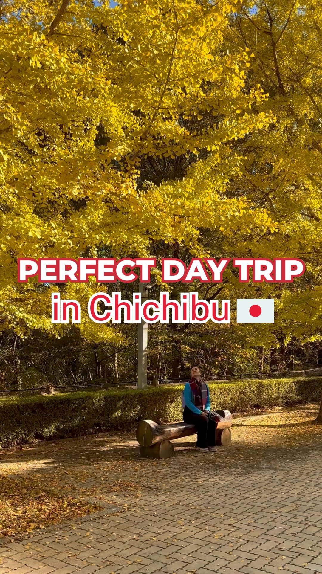 Chichibu Day Trip: Ginkgo Trees, Nature, and Taiyaki