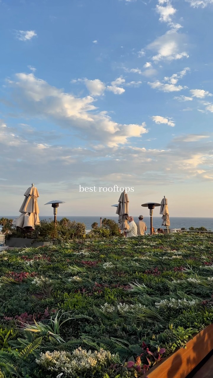 Kassi: Venice Beach Rooftop Dining