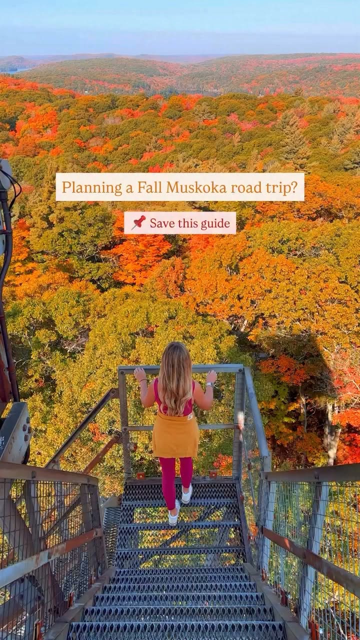 Muskoka's Fall Guide: Trails, Eateries, and Hidden Gems