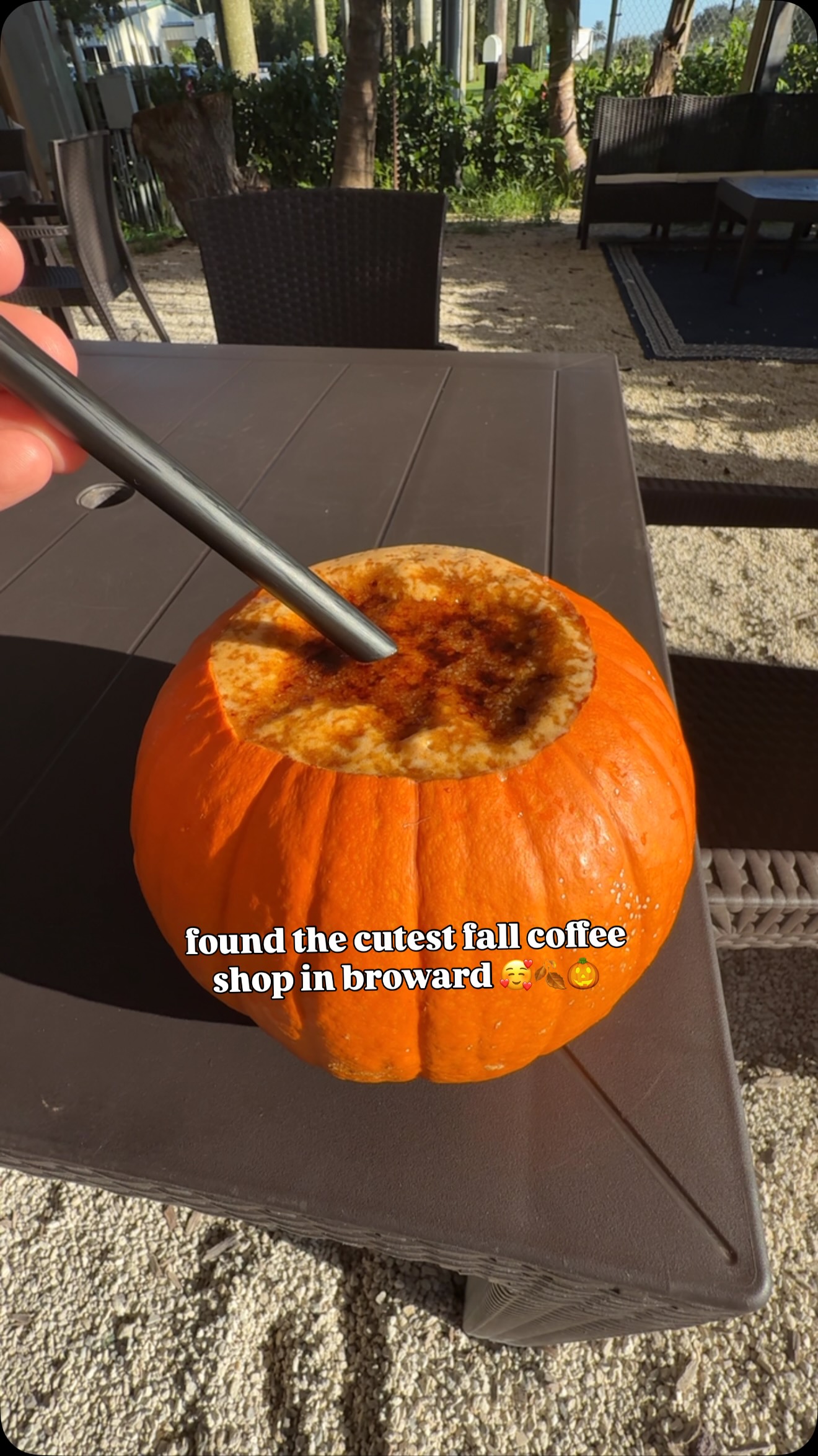 Rosso Coffee Club's Fall Ambiance