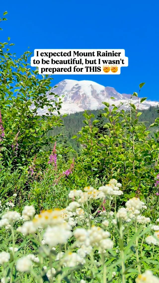 Mount Rainier National Park's Scenic Waterfalls and Trails