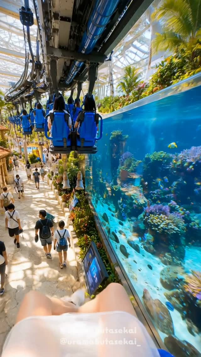 Okinawa Churaumi Aquarium AI Creation