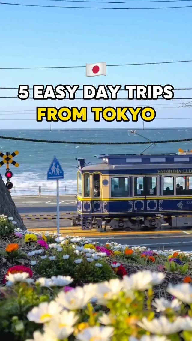Day Trips From Tokyo: Kamakura, Hakone, Mt. Fuji, Nikko