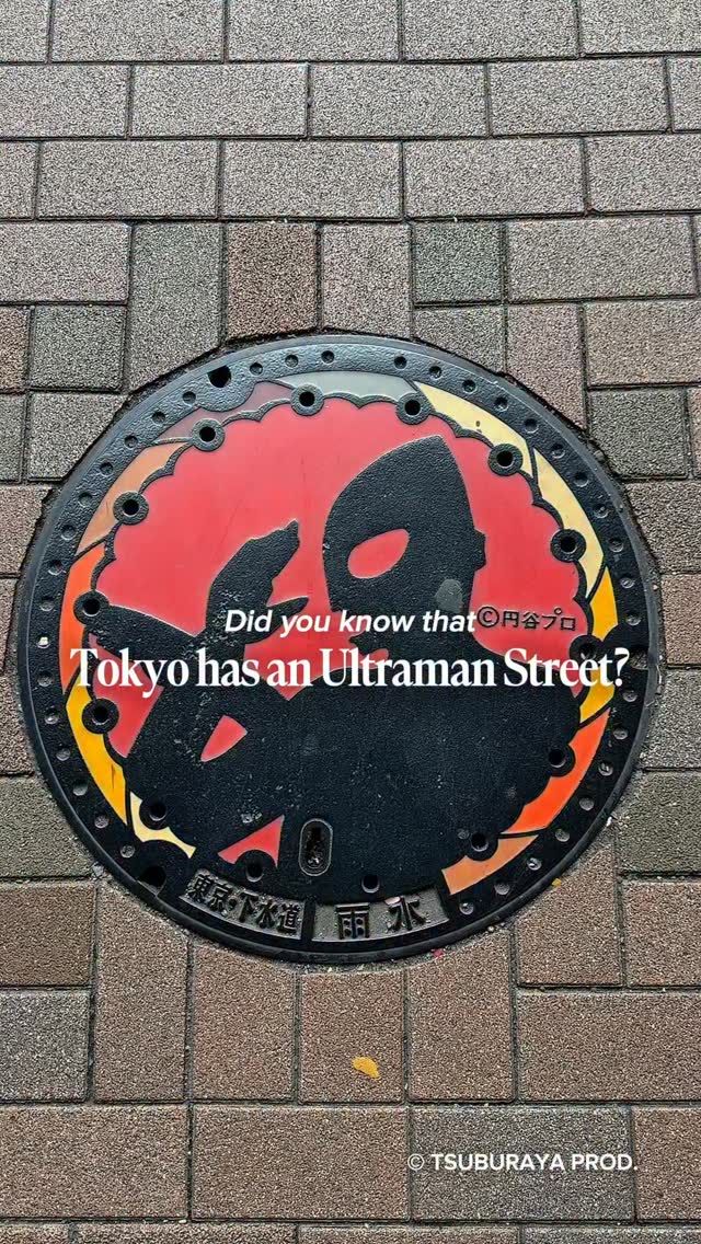 Visit Setagaya - Tokyo’s Hidden Charm, Soshigaya-Okura Station