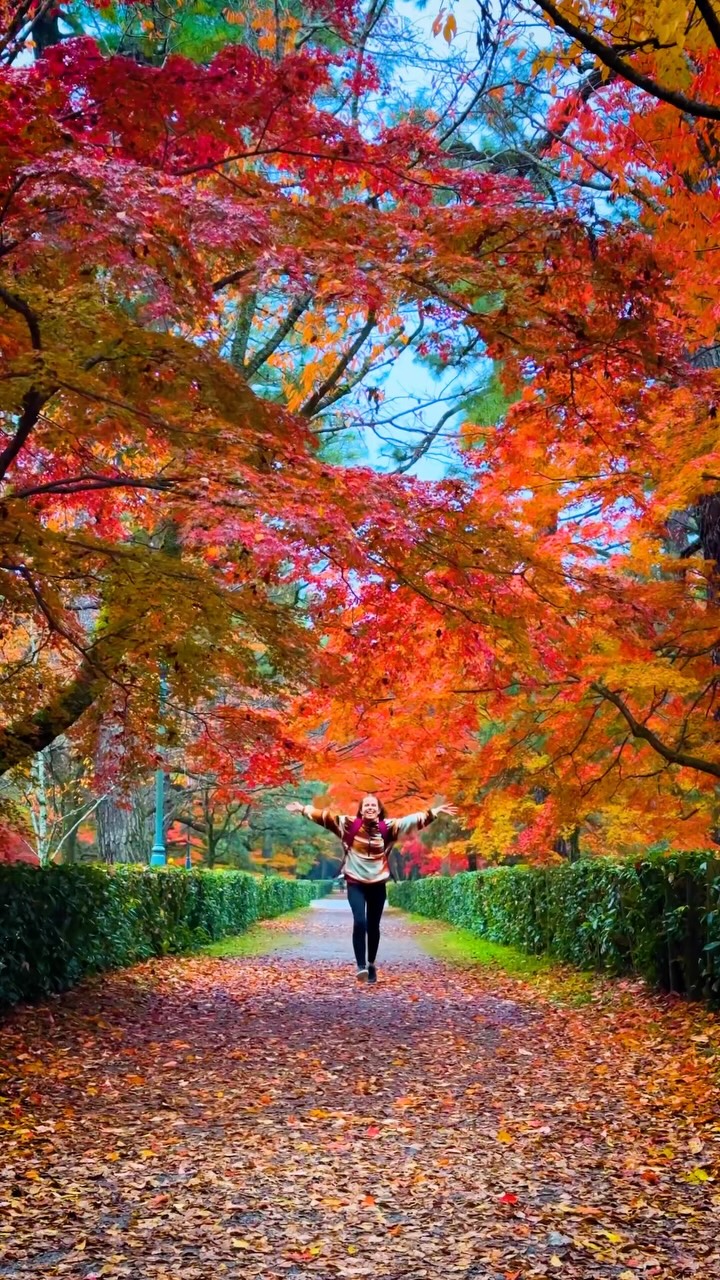 Kyoto Gyoen National Garden's Autumn Colors