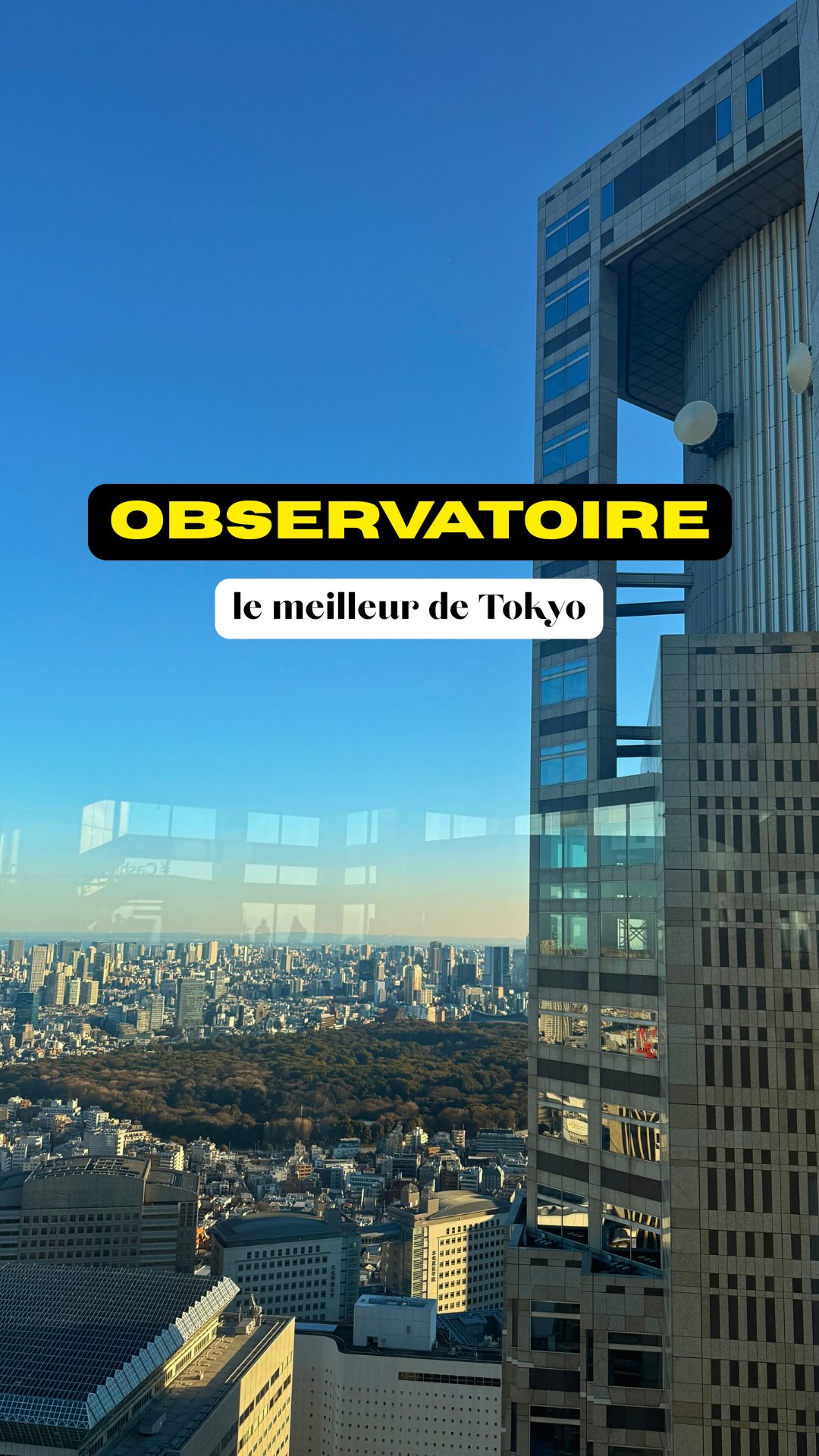 Tokyo Free Views: Cityscapes and Mount Fuji