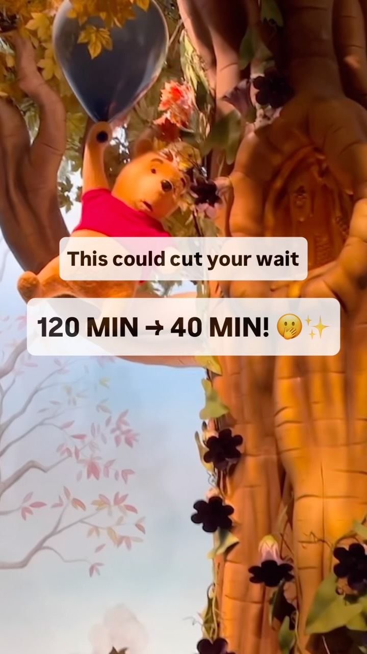 Tokyo Disney Resort Ride Timing Strategy