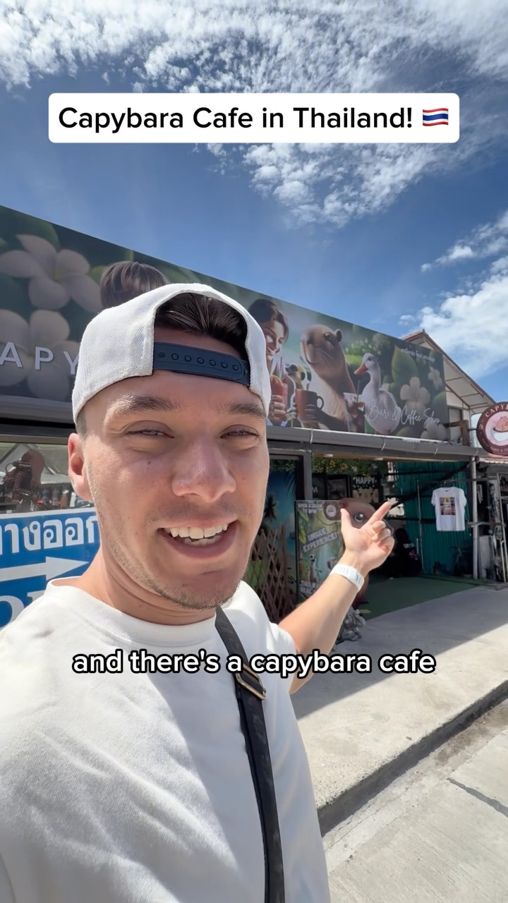 1 Cafes in Chang Wat Surat Thani