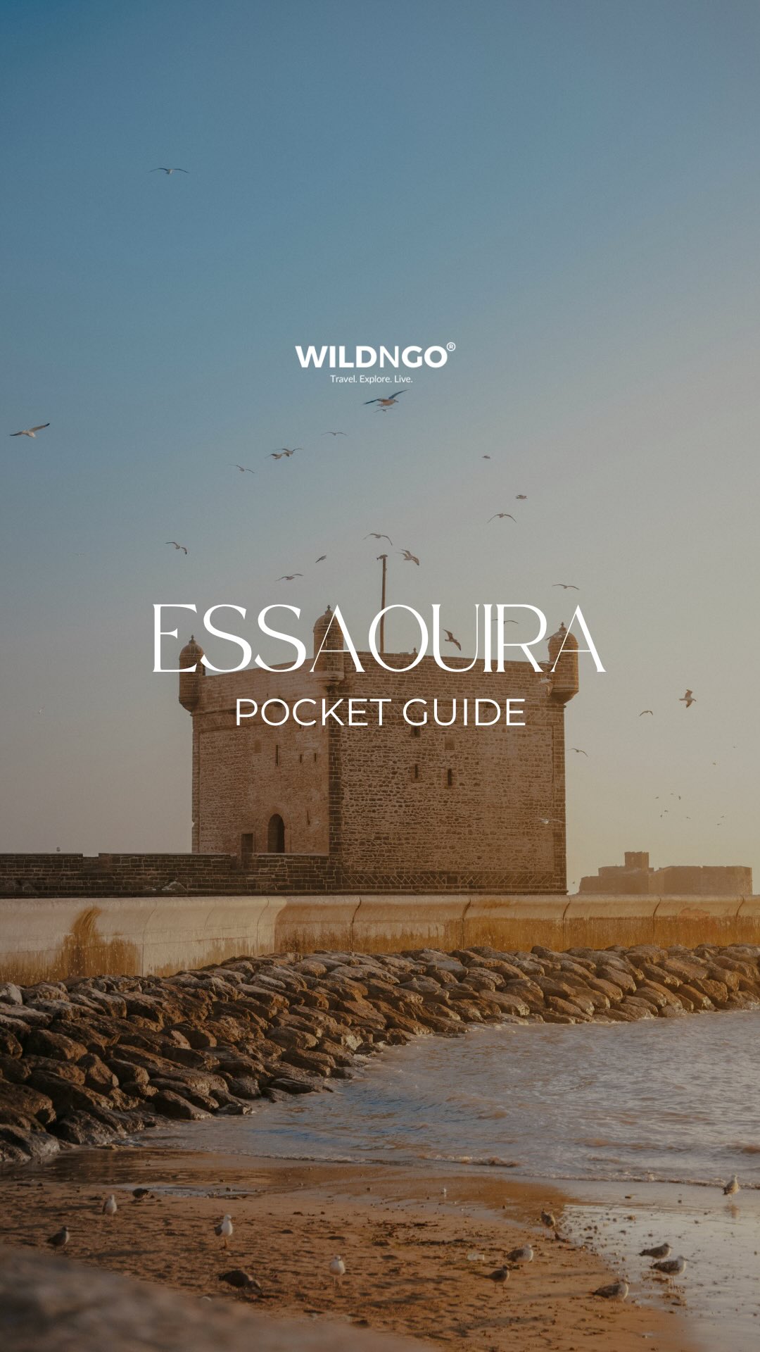 Essaouira's Top Attractions, Dining, and Stays