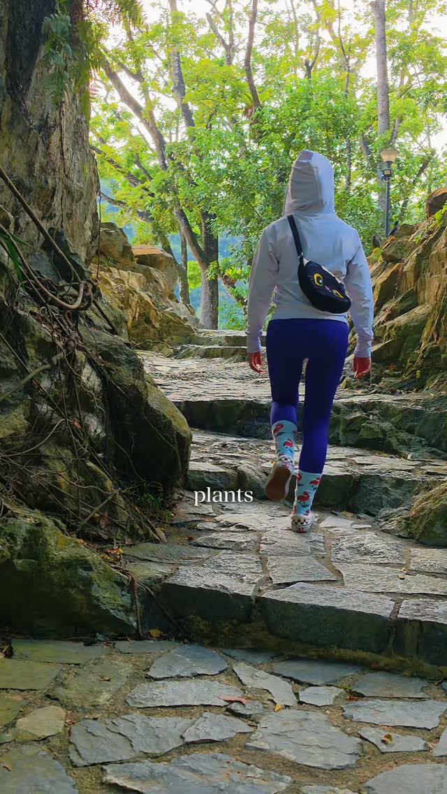 Little Guilin: Singapore's Serene Granite Park