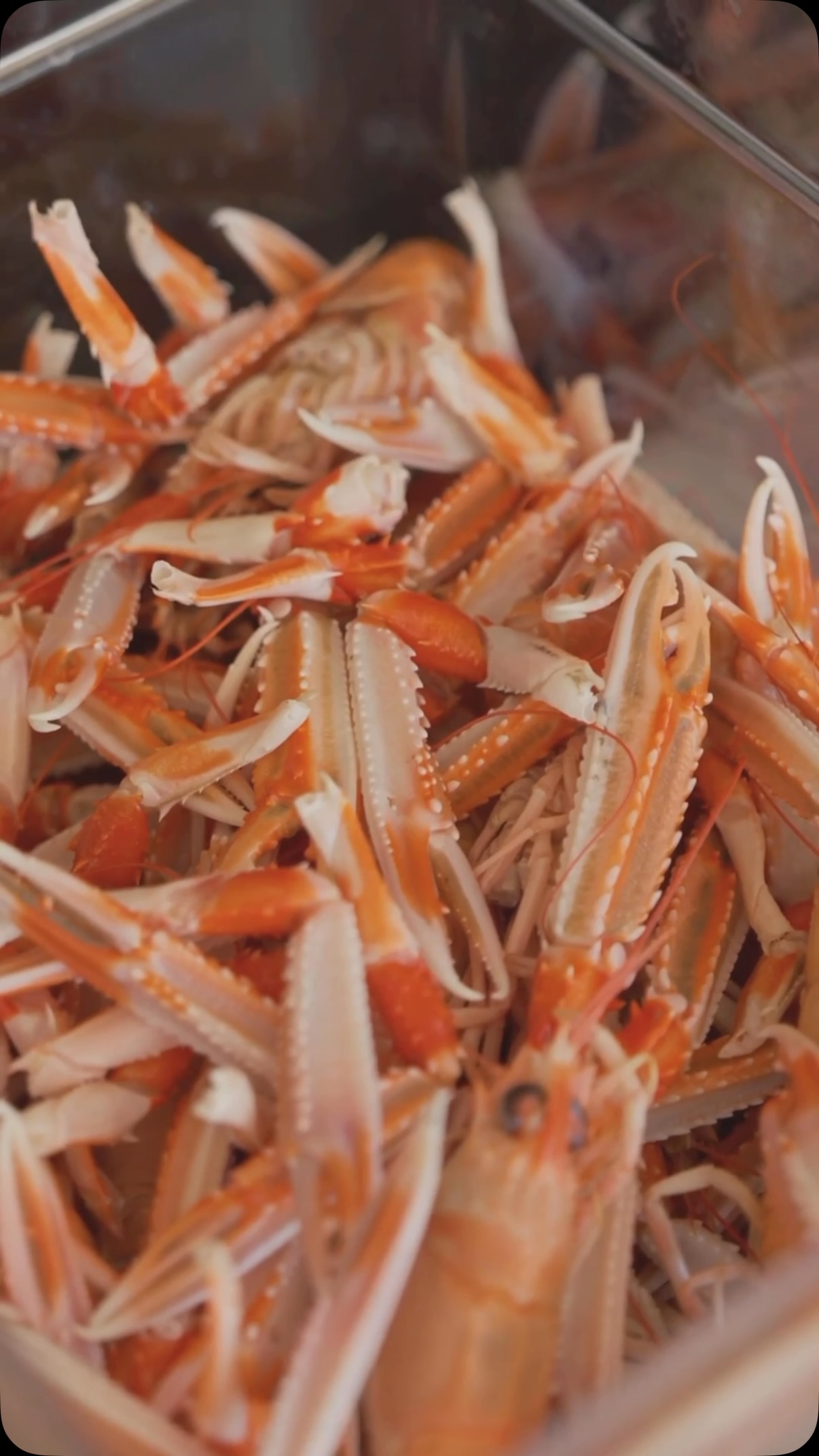 Seaside Dining: Langoustines at Scourie Beach