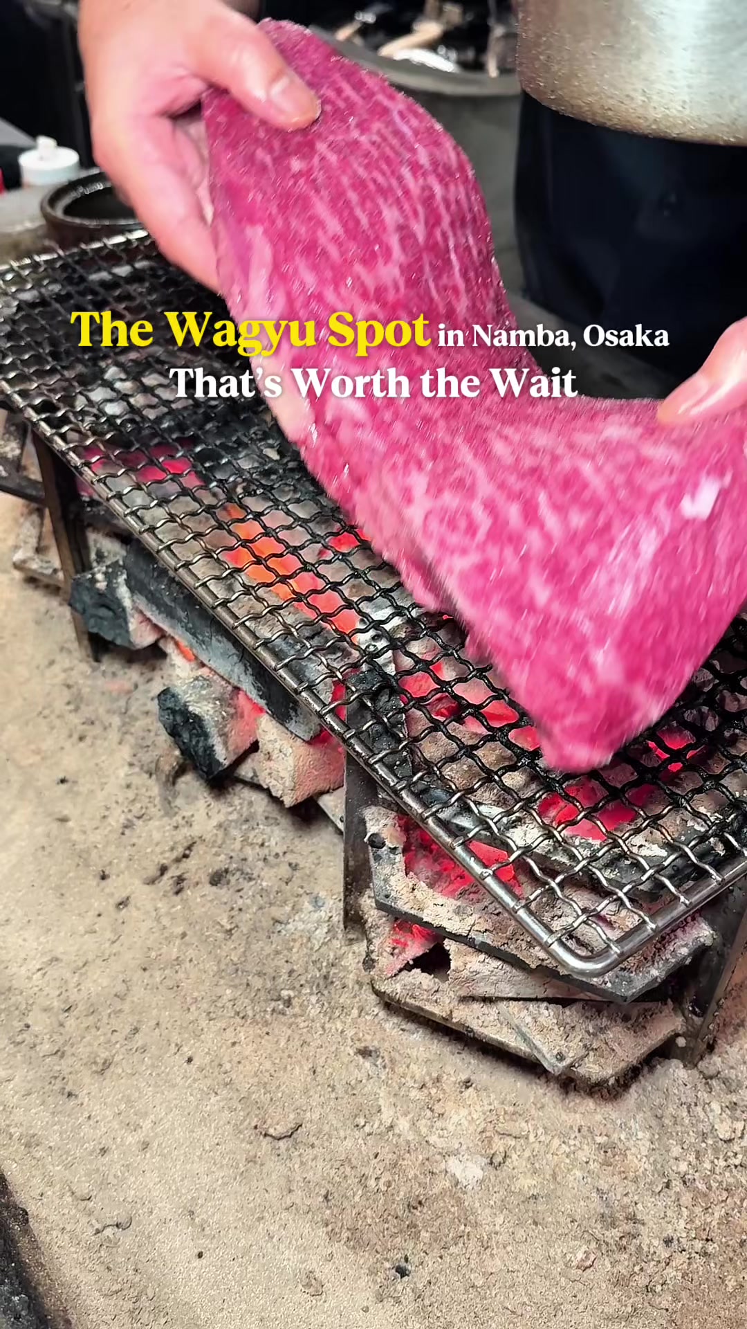 Osaka's Namba Station Area Wagyu Dining