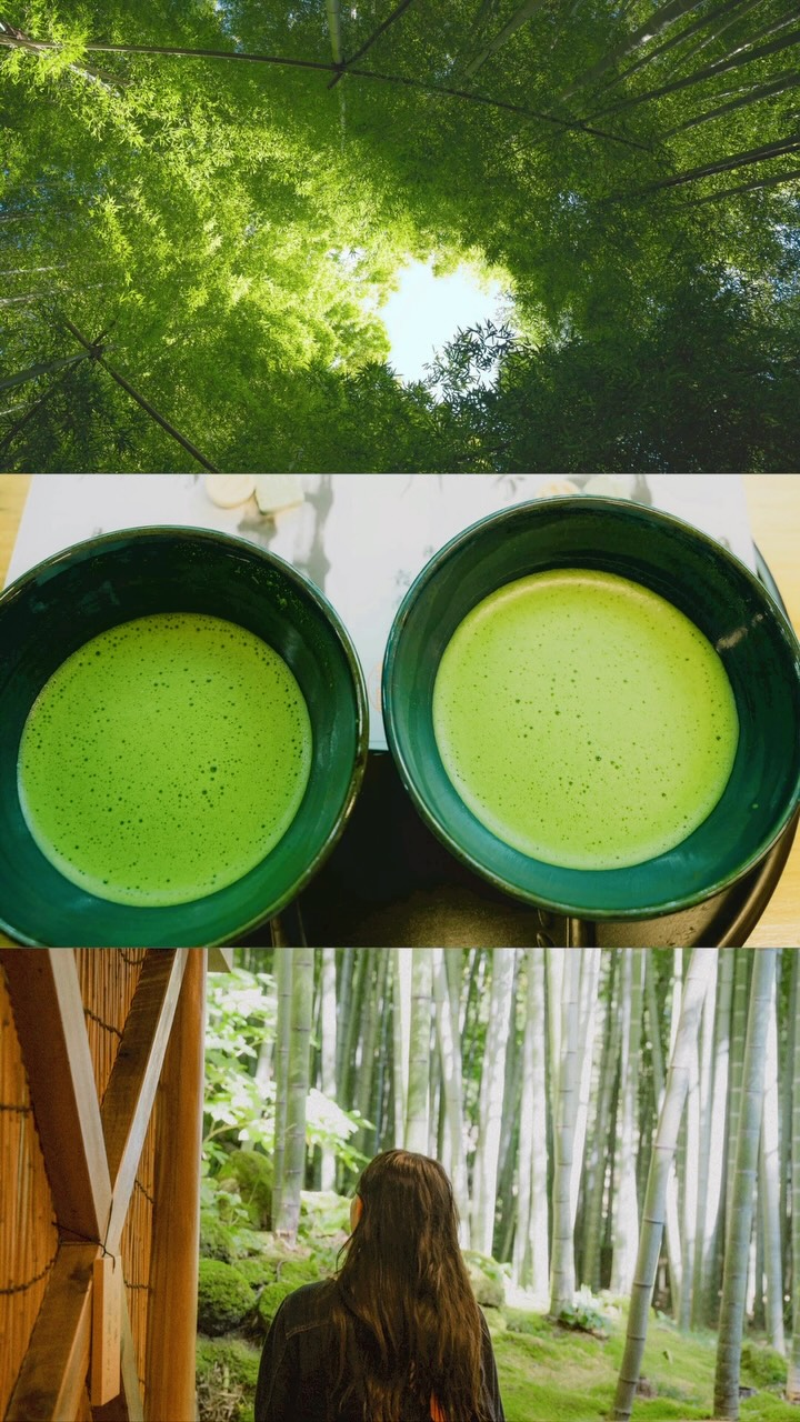 Hokokuji Temple: A Tranquil Bamboo Garden Escape