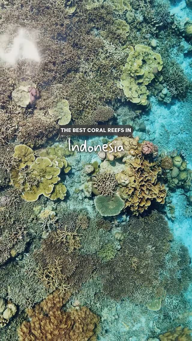 6 Attractions in Indonesia