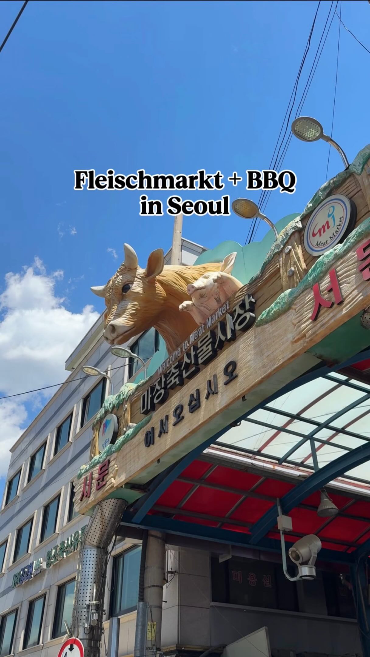 Seoul Meat Markets Offer Unique Korean BBQ Experiences