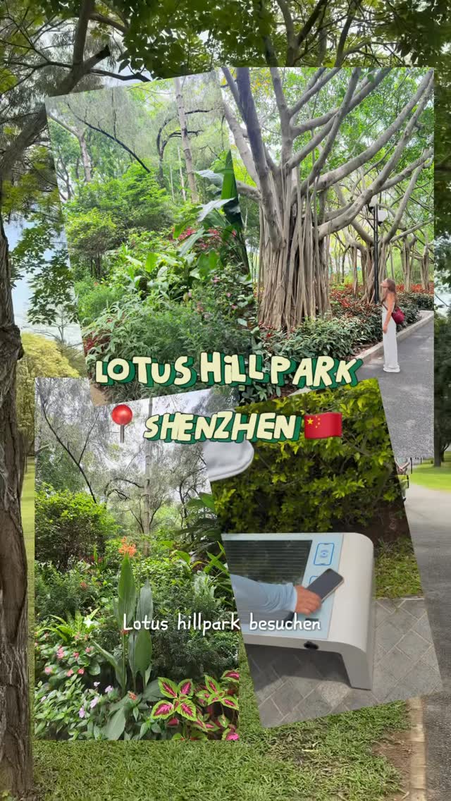 Lotus Hill Park: Shenzhen's Modern Urban Oasis
