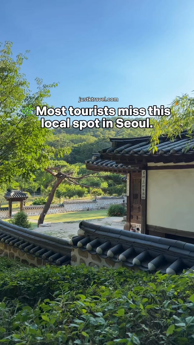 Dream Forest: Seoul's Serene Local Escape