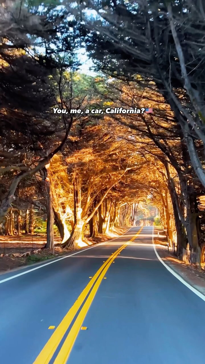 California's Diverse Natural Wonders And Iconic Landmarks