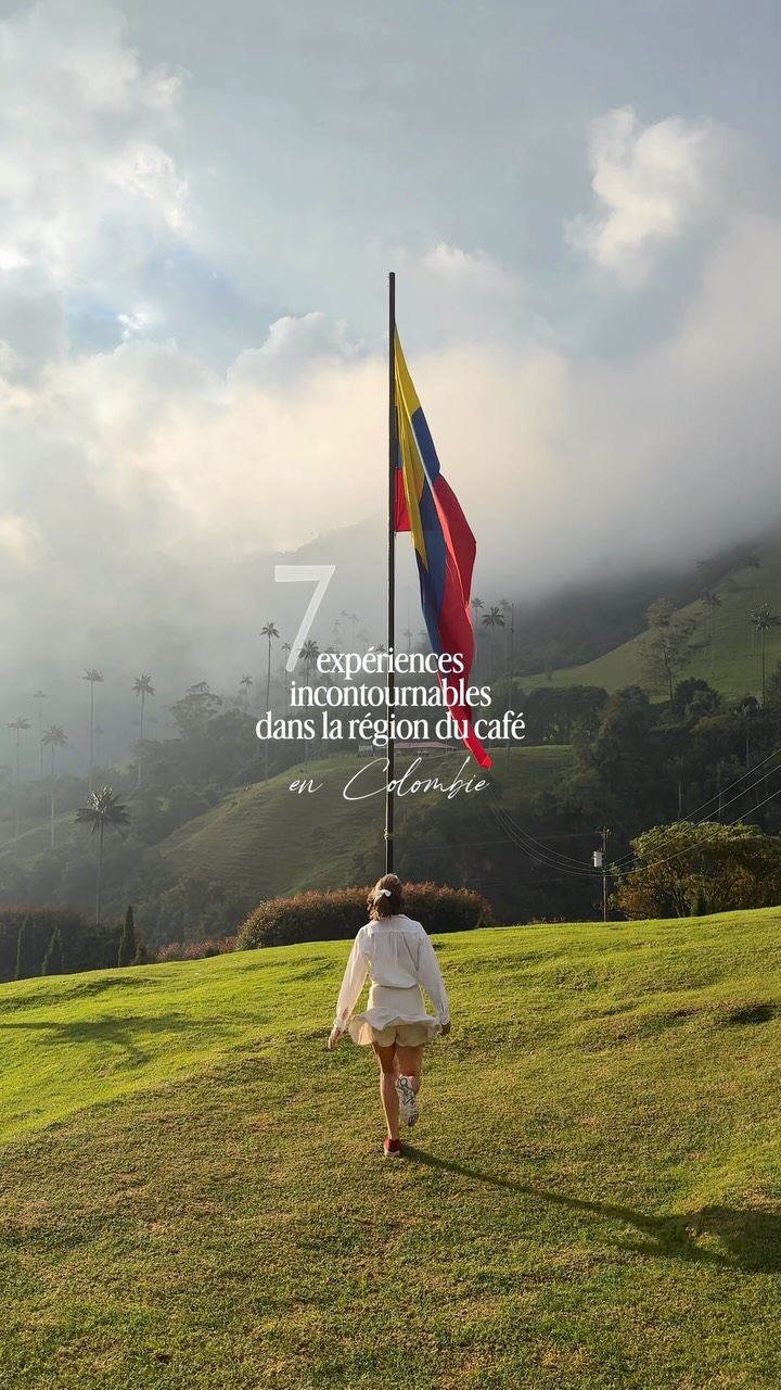 Explore Colombia's Coffee Region and Wax Palm Forests