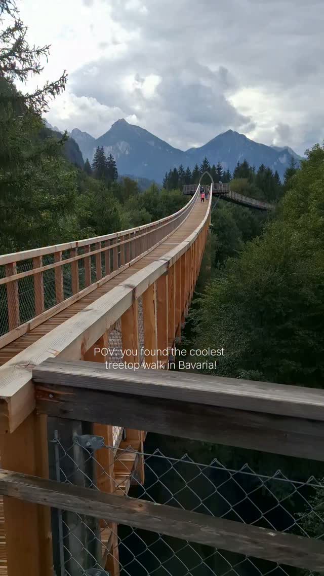Treetop Walkway Crosses Germany and Austria Borders
