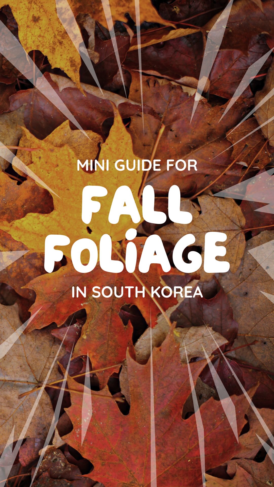 Best Korean Spots for Stunning Fall Foliage