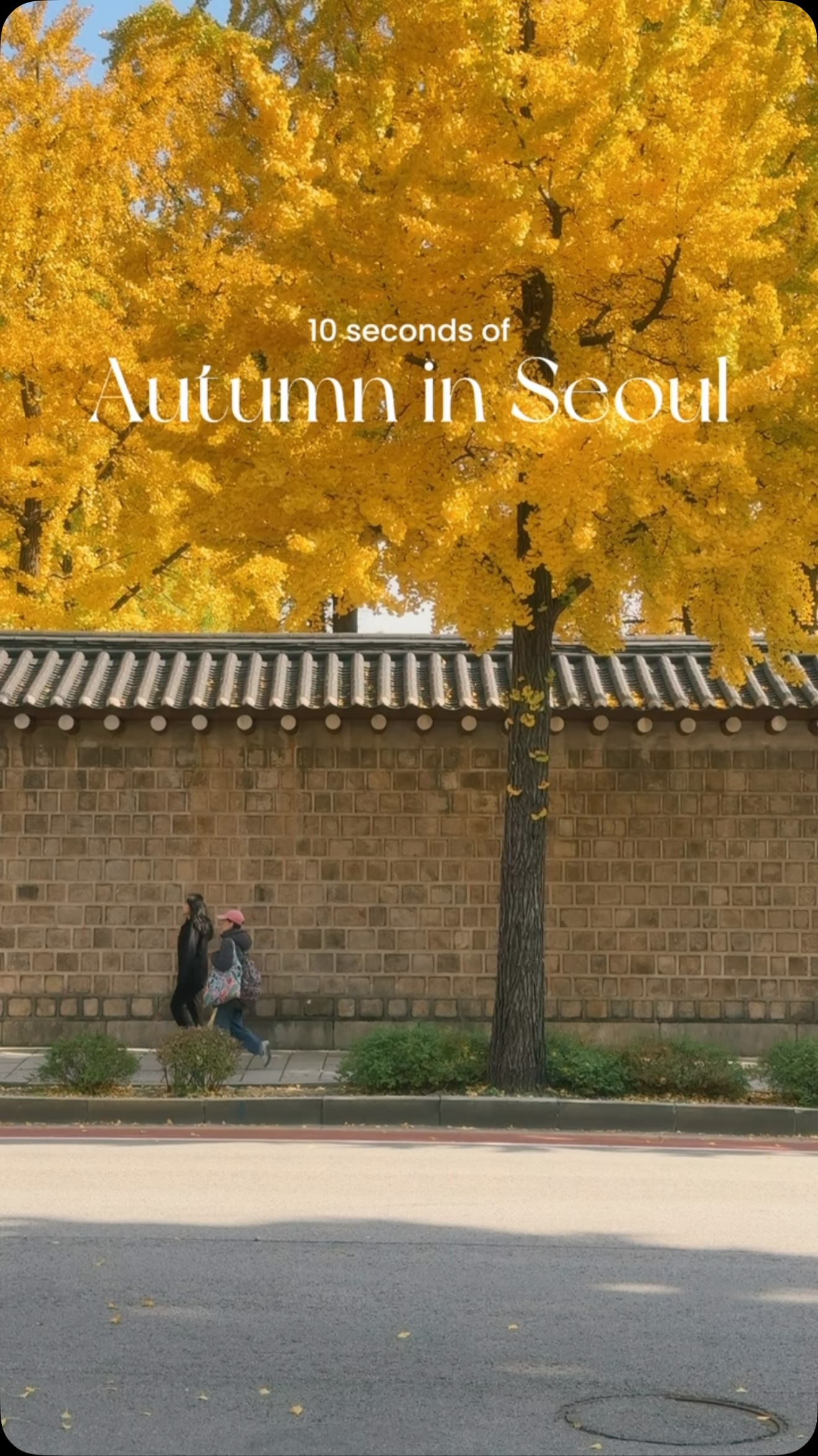 Seochon Hanok Village & Jeongdok Library Autumn Views