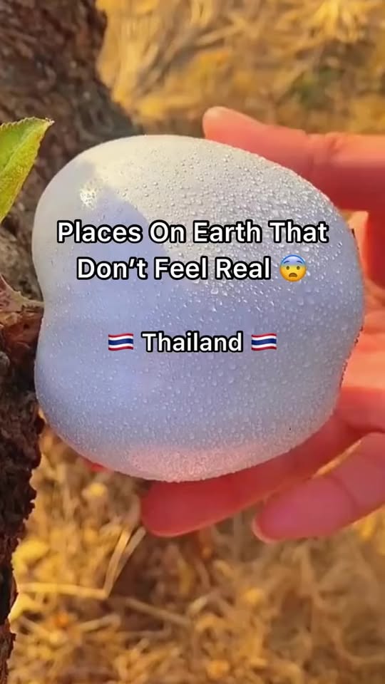 Thailand's Striking Temples and Island Paradise