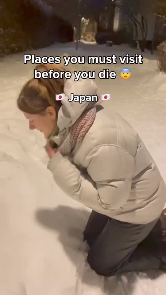 Japan's Must-Visit Destinations