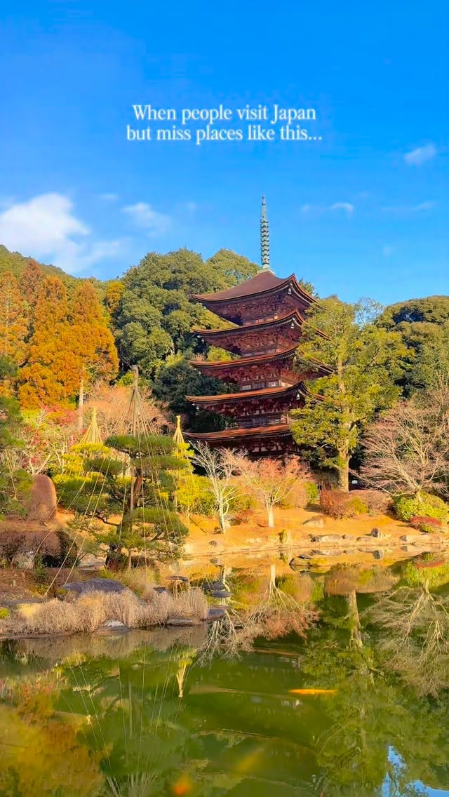Yamaguchi Prefecture's Natural and Historic Wonders