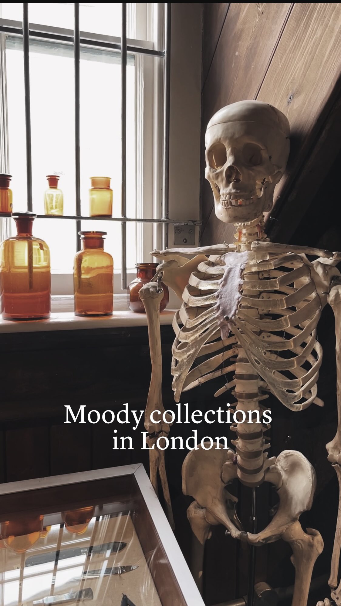 Unusual London Museums With Macabre Collections