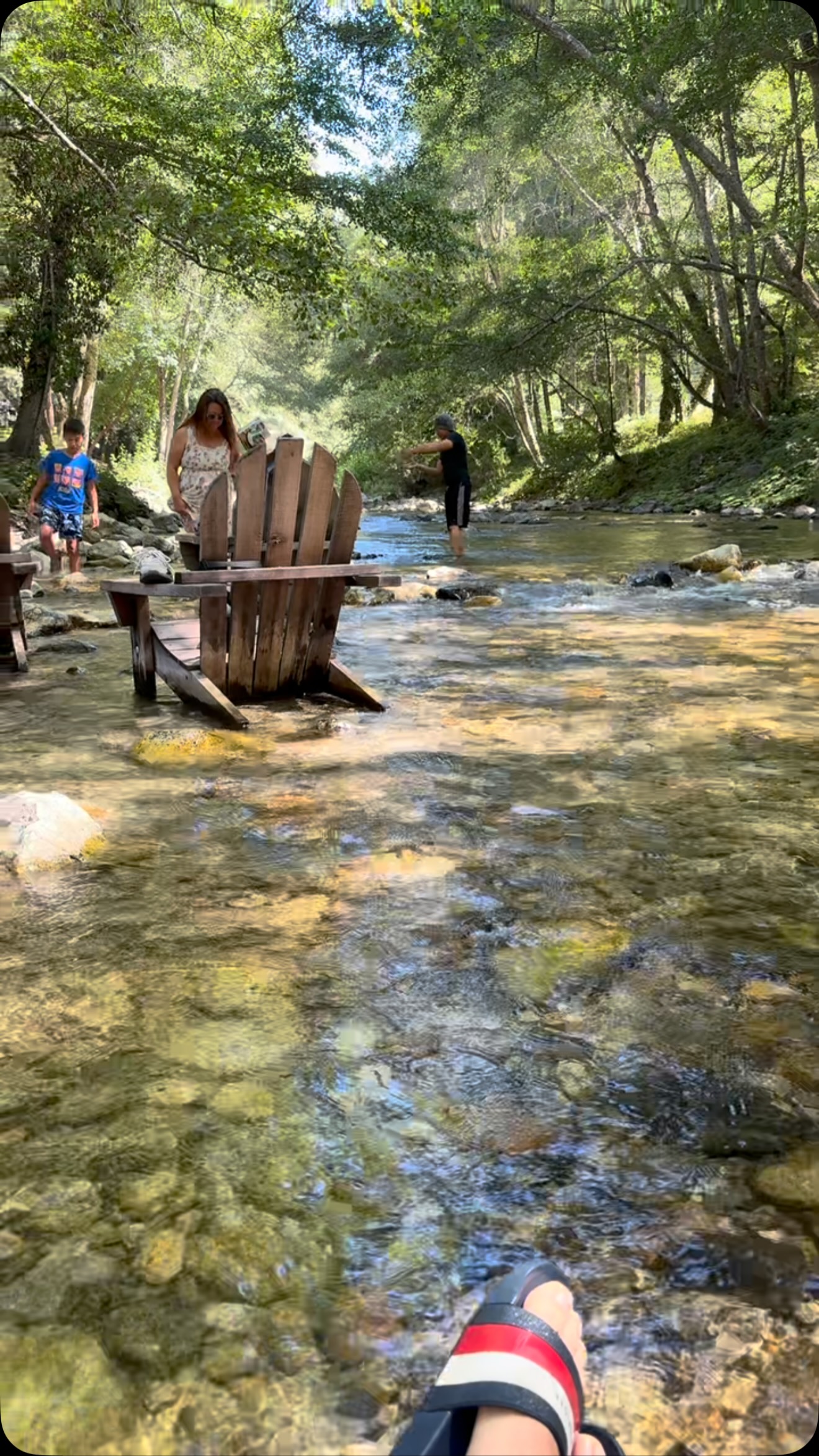 Big Sur's River Inn and Scenic Highway 1 Attractions