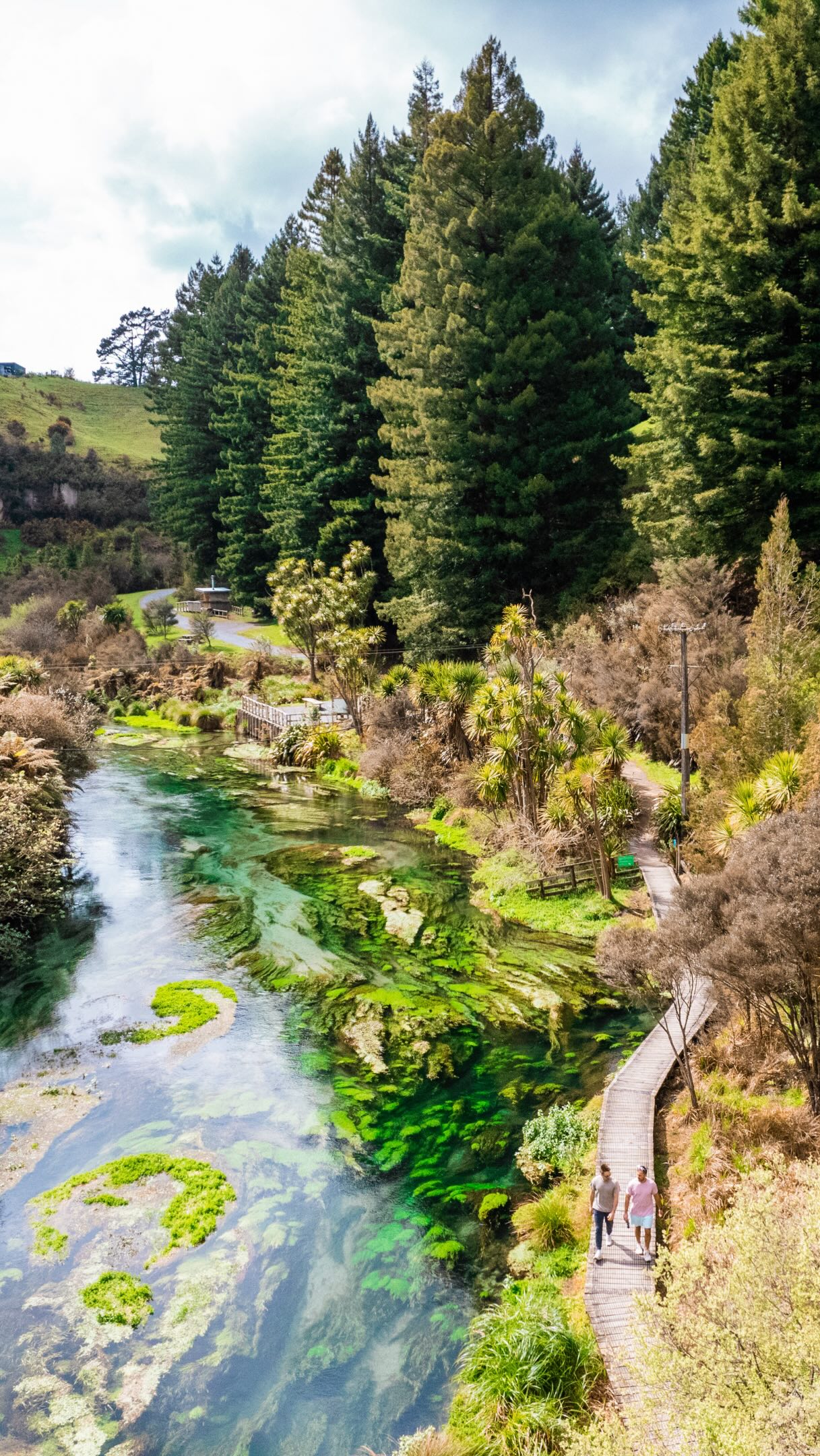 New Zealand's Iconic Natural Wonders