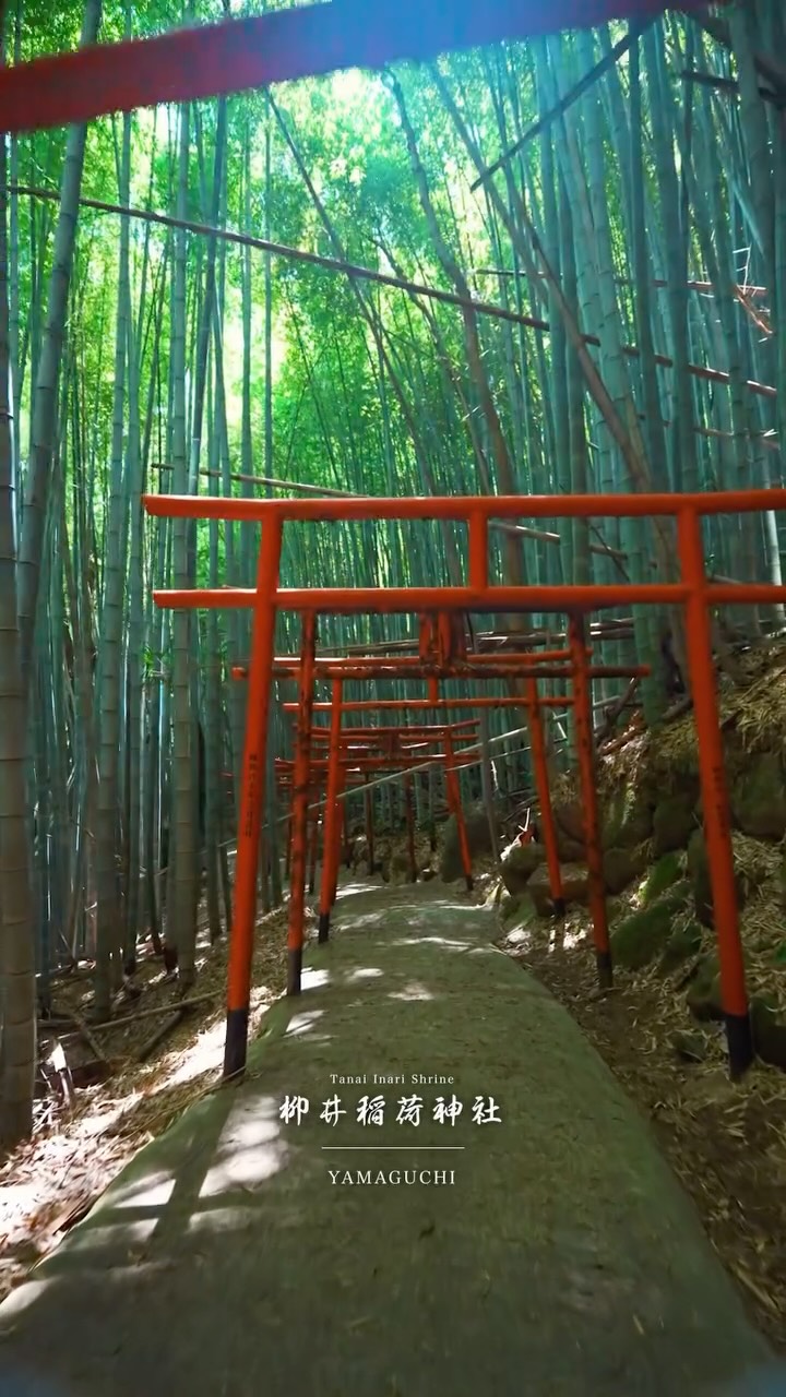 Scenic Japanese Shrines Offer Beautiful Sunsets