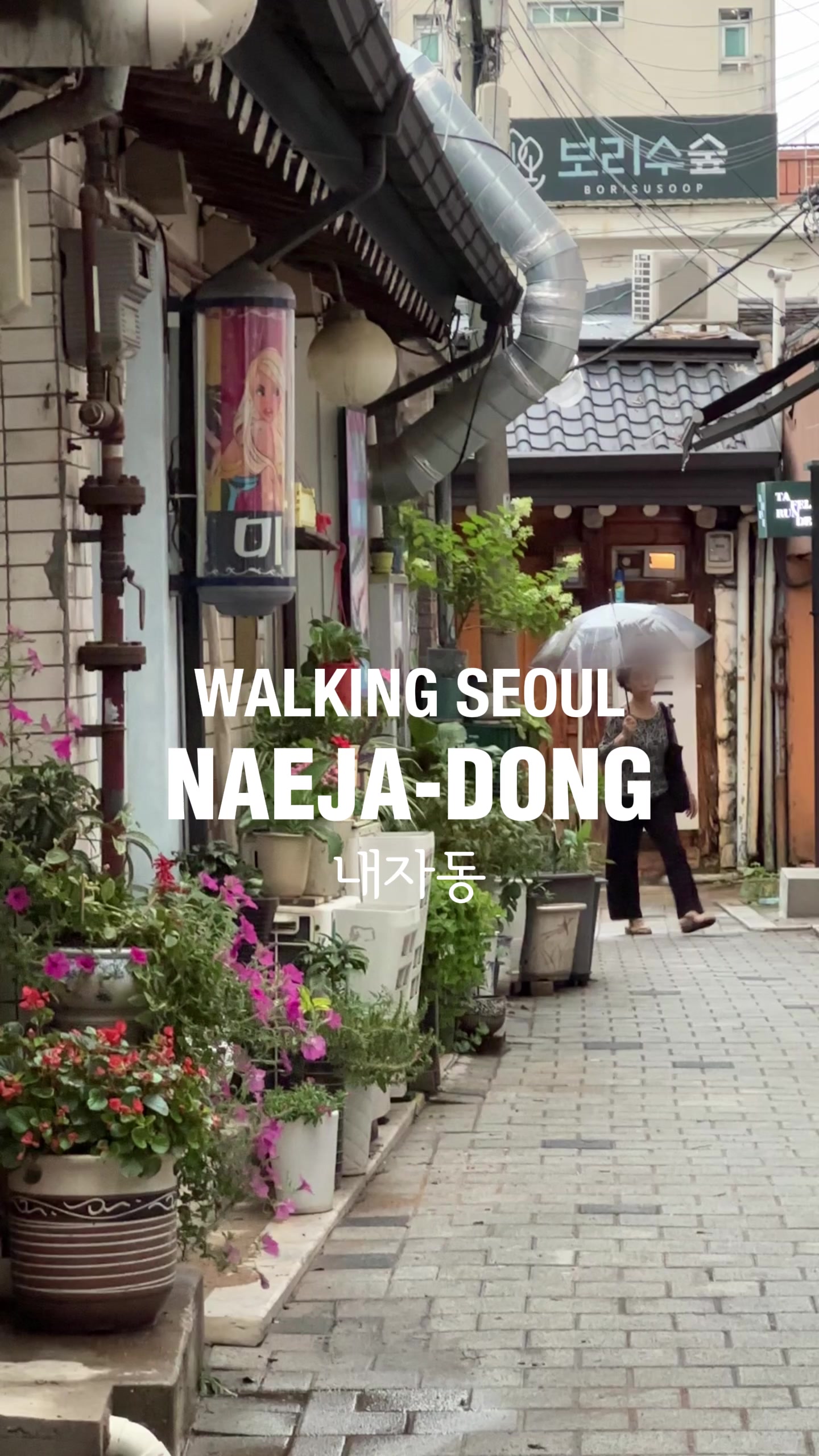 Seoul's Naeja-dong: Hidden Eats Near Gyeongbokgung