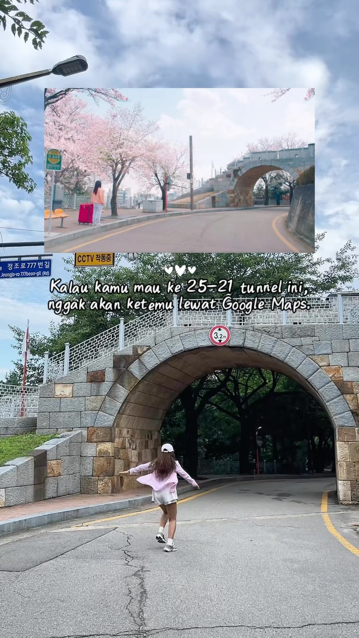 Suwon Hwaseong Fortress and 2521 Tunnel