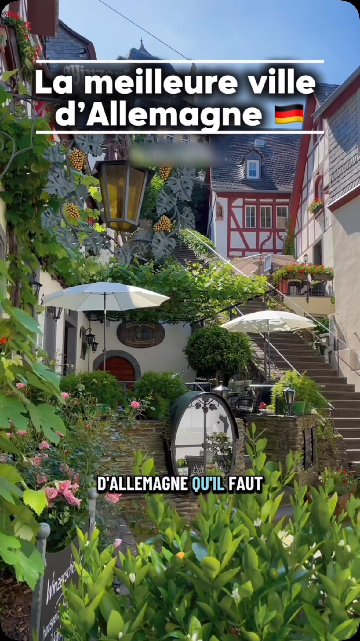 Scenic Castles and Villages of the Moselle Valley