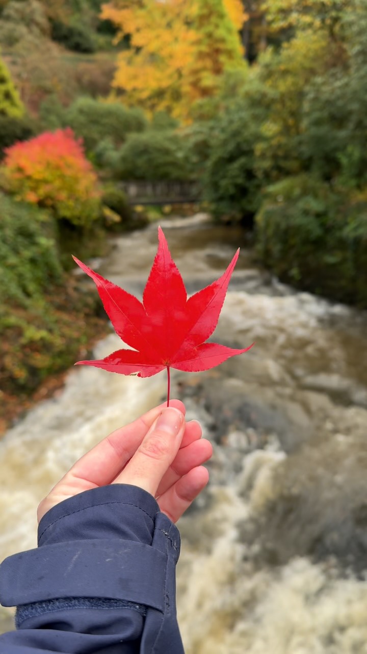 Autumn's Best in North Wales: Gardens, Falls, and Coasts